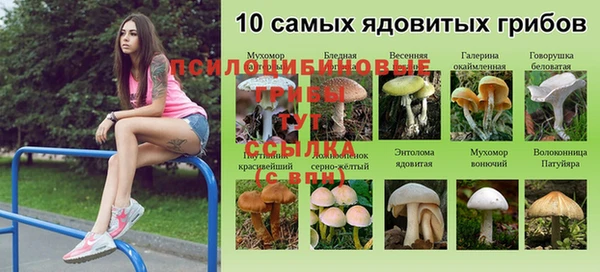 ALPHA-PVP Алзамай