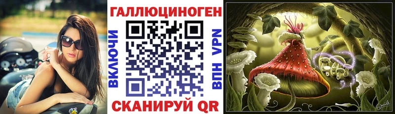 Псилоцибиновые грибы мицелий Дубовка